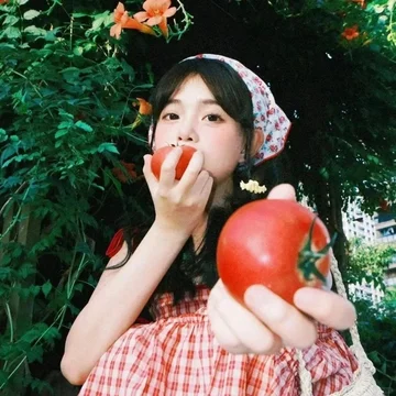 一 颗茄