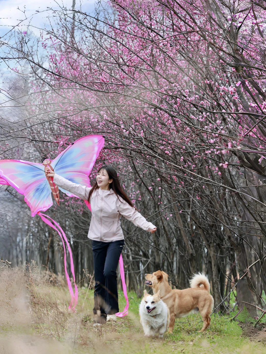 我在西安上春山！来北豆角村赏花放风筝啦🌸