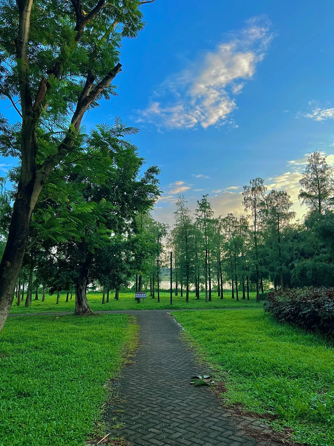 我打赌！你一定会爱上的江边绝美露营地🏕️
