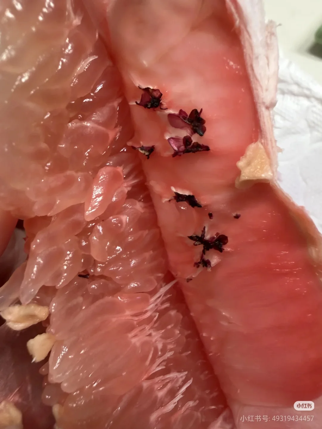 柚子肉里怎么会有苍蝇？