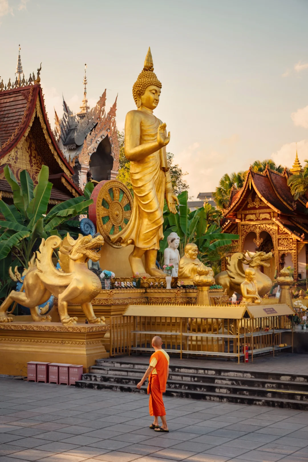 第一次来西双版纳｜请直接复制这条线路！