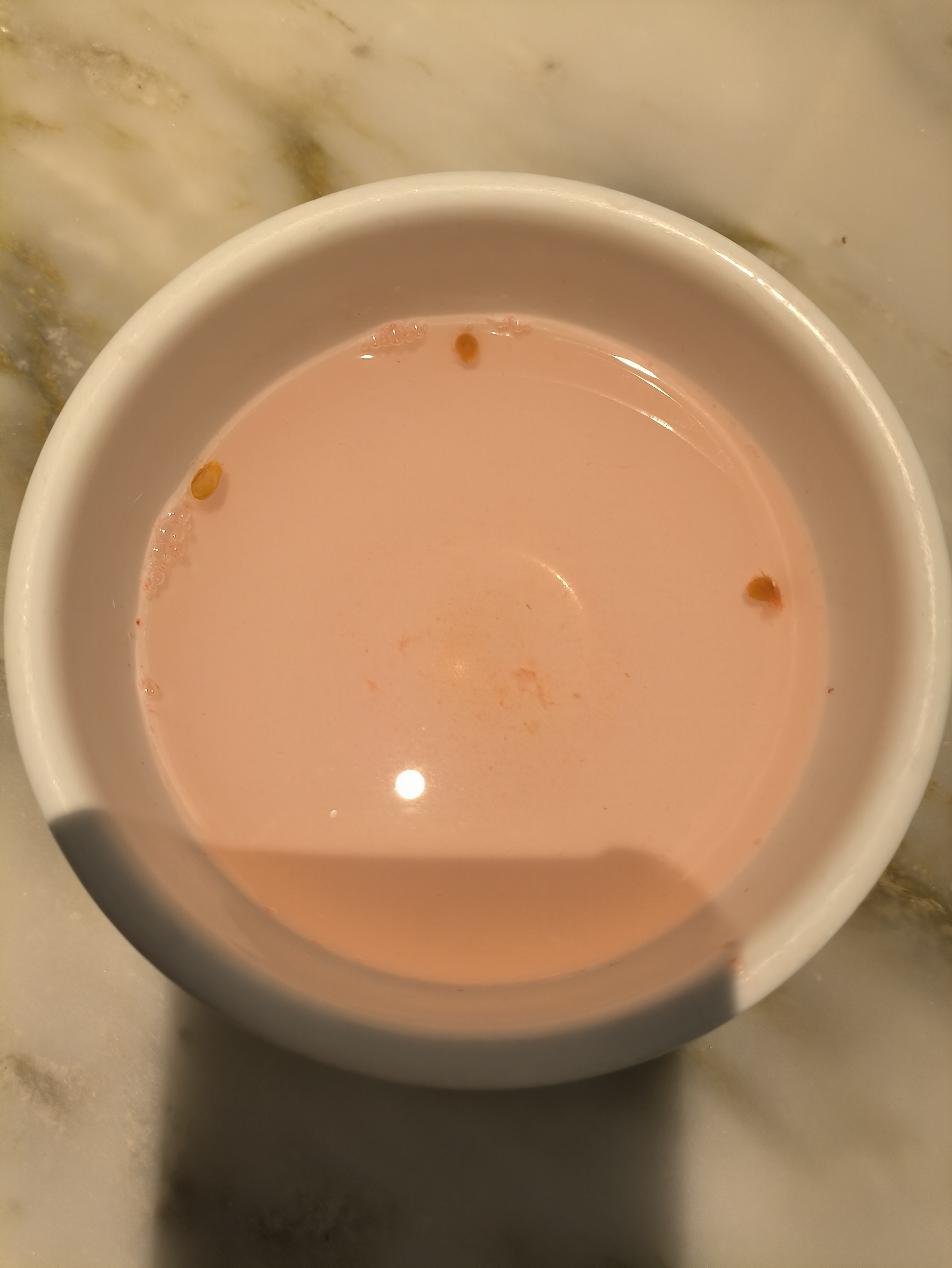 又来小菜园吃午餐，吃了点开水烫西瓜，趁着没上菜闭目养神了一会，下午还有...