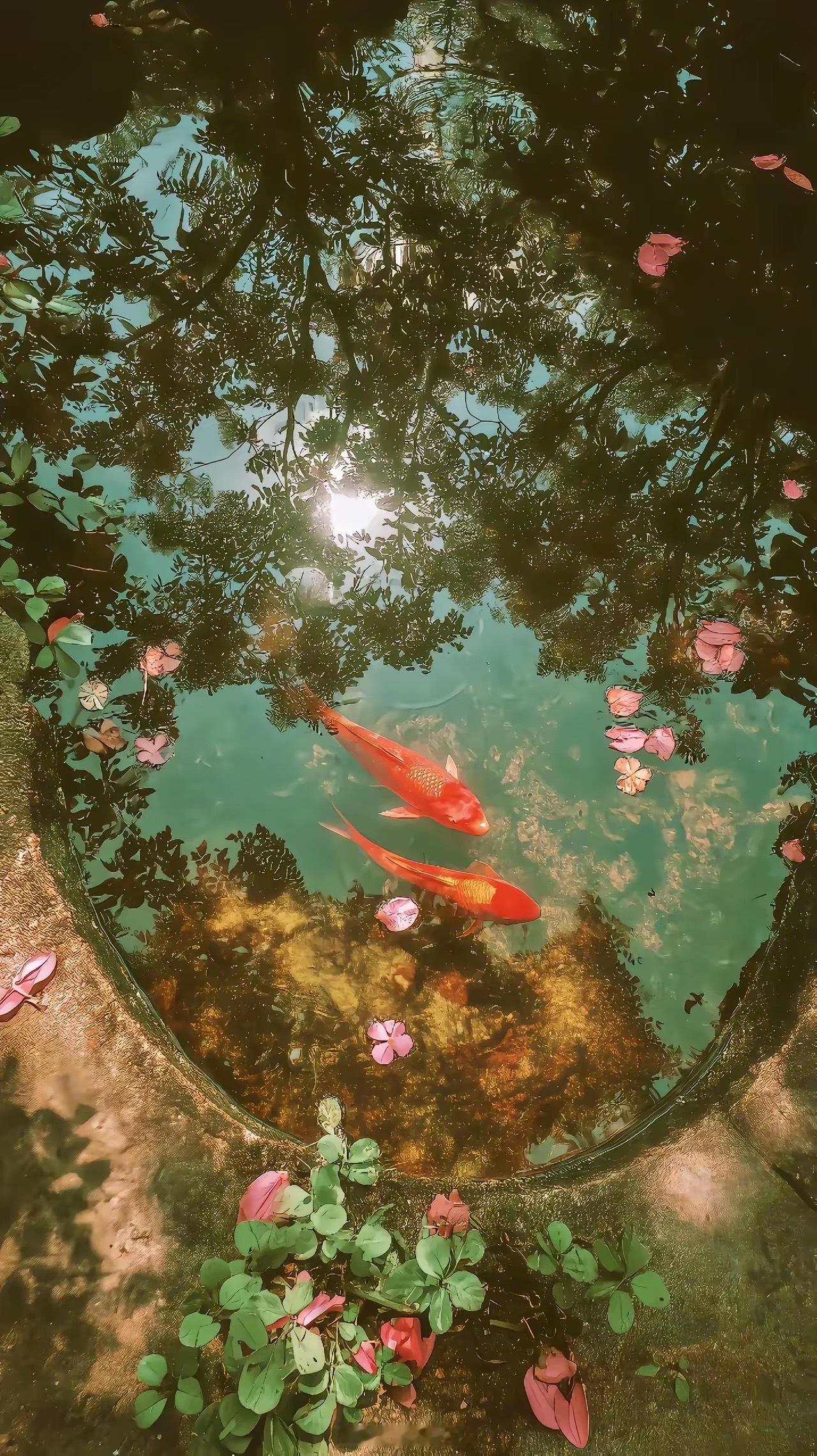 急性子的人，业力深重～万事万物都有它的运行规律，这个世界看不见的决定看的见得，天时地利人和，早一秒，晚一秒，都有其定数，非人力所能控制。 ​​​