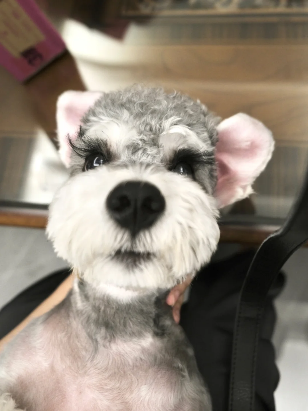 哈哈哈哈😂这样好像小兔子哦