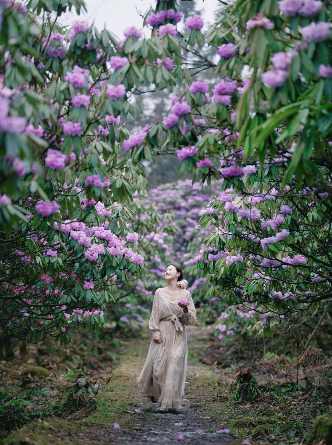 在成都，我拍到的那些花🌸这个春天值了！！~