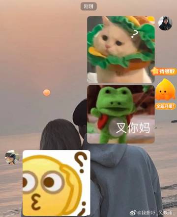 每次看我俩用表情包聊天就觉得特别搞笑哈哈哈哈