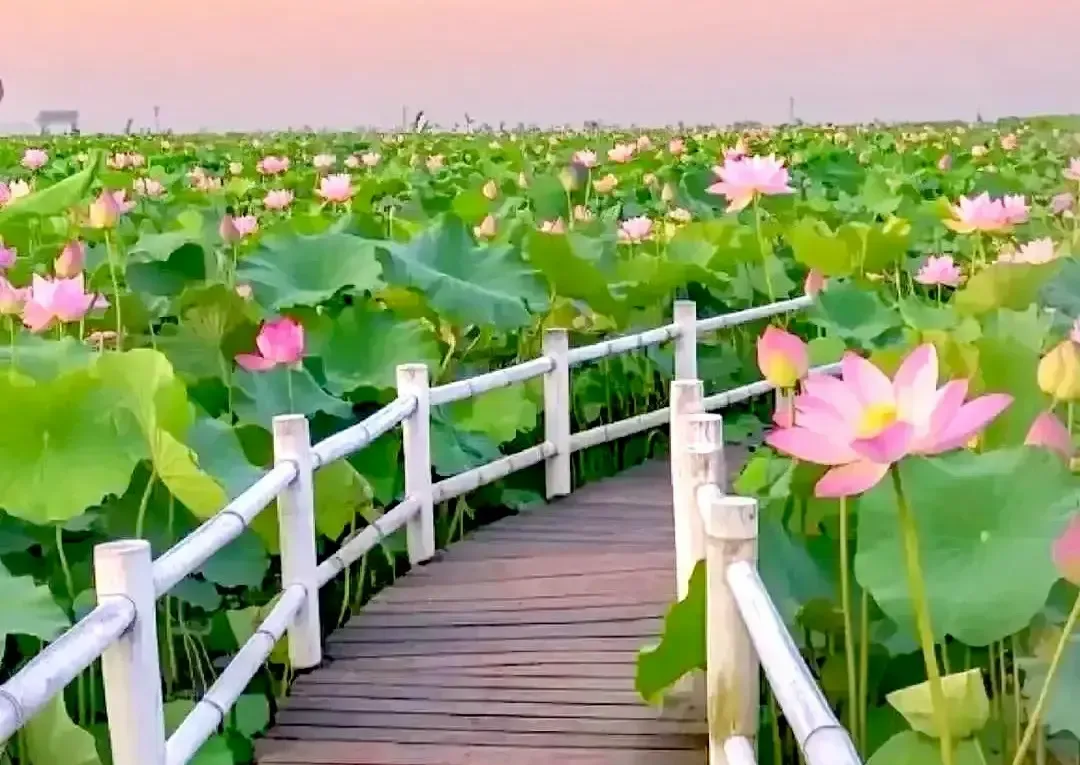 78岁江苏阿姨被继子赶出家门只能蜷在社区养老中心那一刻我脑子里嗡的一声...