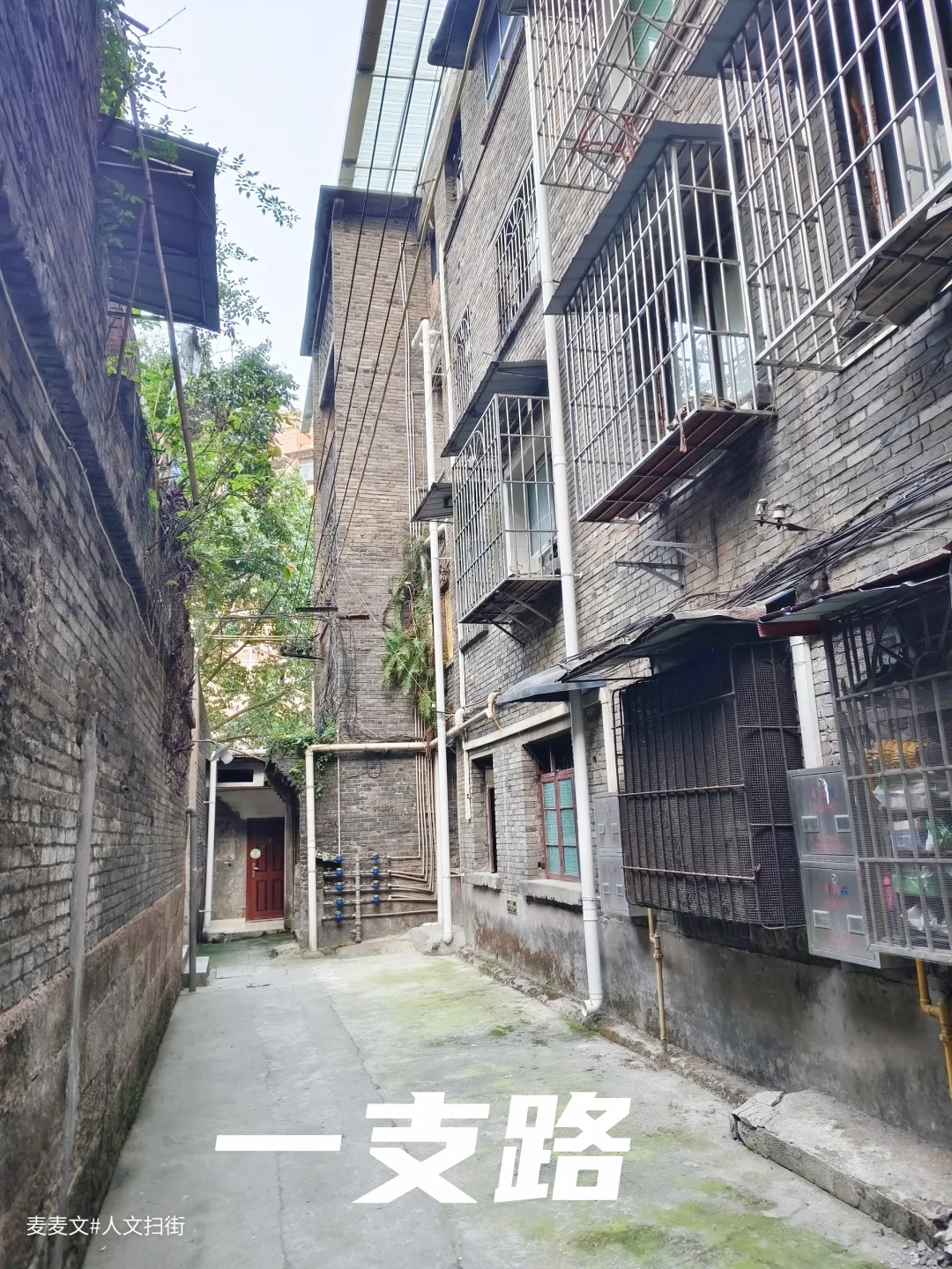 【渝北】谁知道一支路青砖房是哪个单位的?