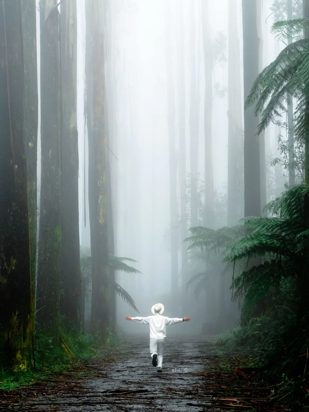 现实版寂静岭丨我竟然走进了黑暗魔法森林‼️