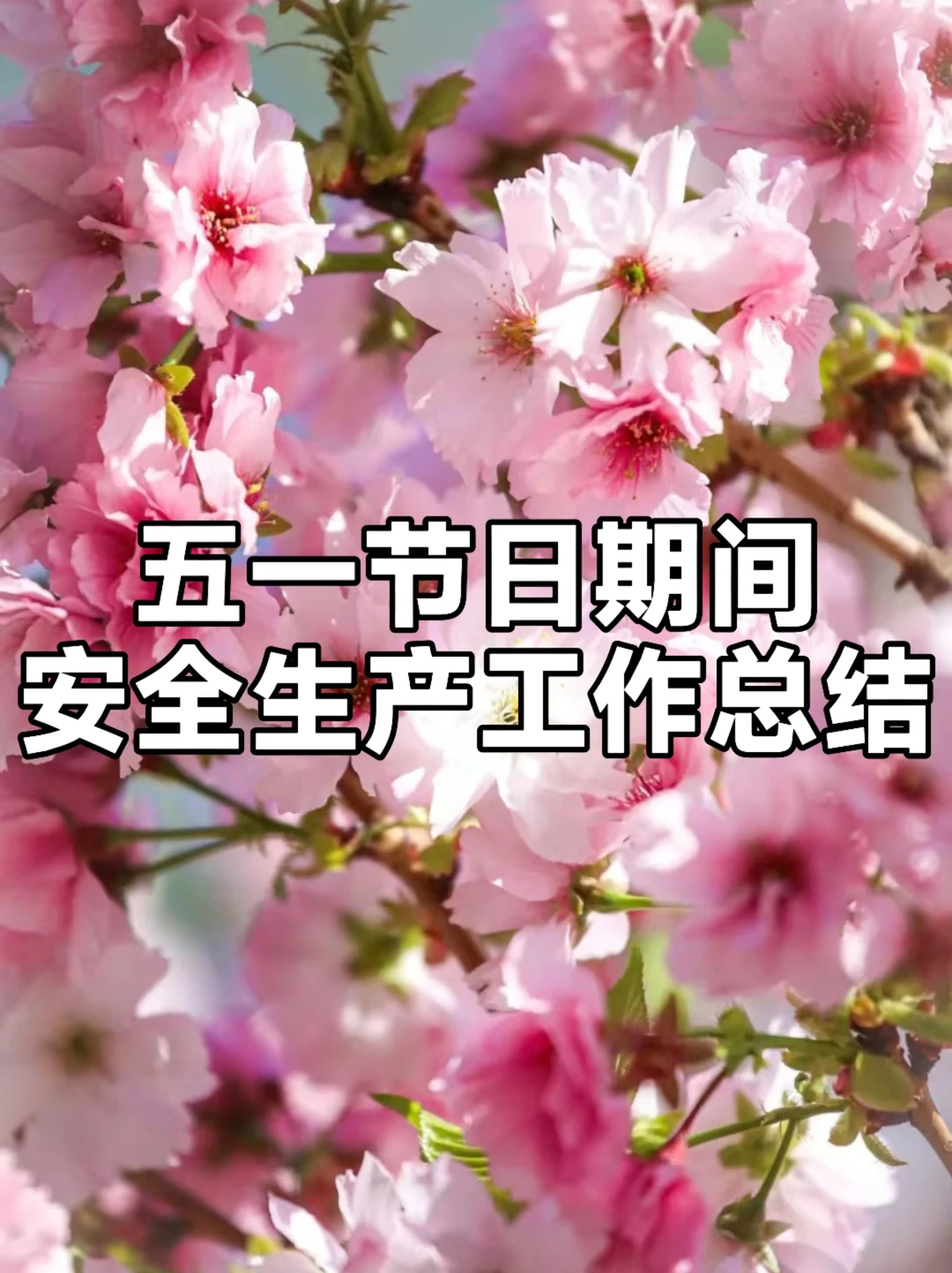 体制内：“五一”节日期间安全生产工作总结