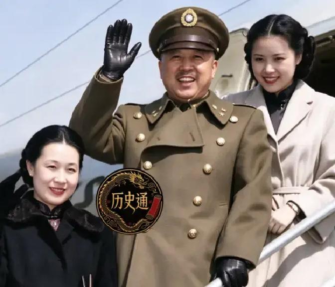 一九四五年六月，昆明锡安圣教堂里，何应钦主婚，龙云证婚，四十八岁的卫立煌娶了四十二岁的韩权华。外人只看见那场婚礼，看不见背后，是整整六年的苦等。
韩权华站在婚宴大厅的窗边，看着外面渐渐暗下来的天色。抗战胜利前的昆明，夜晚依旧戒严，远处偶尔传来几声零星的枪响。她轻轻吐出一口气——从檀香山到昆明，这条路