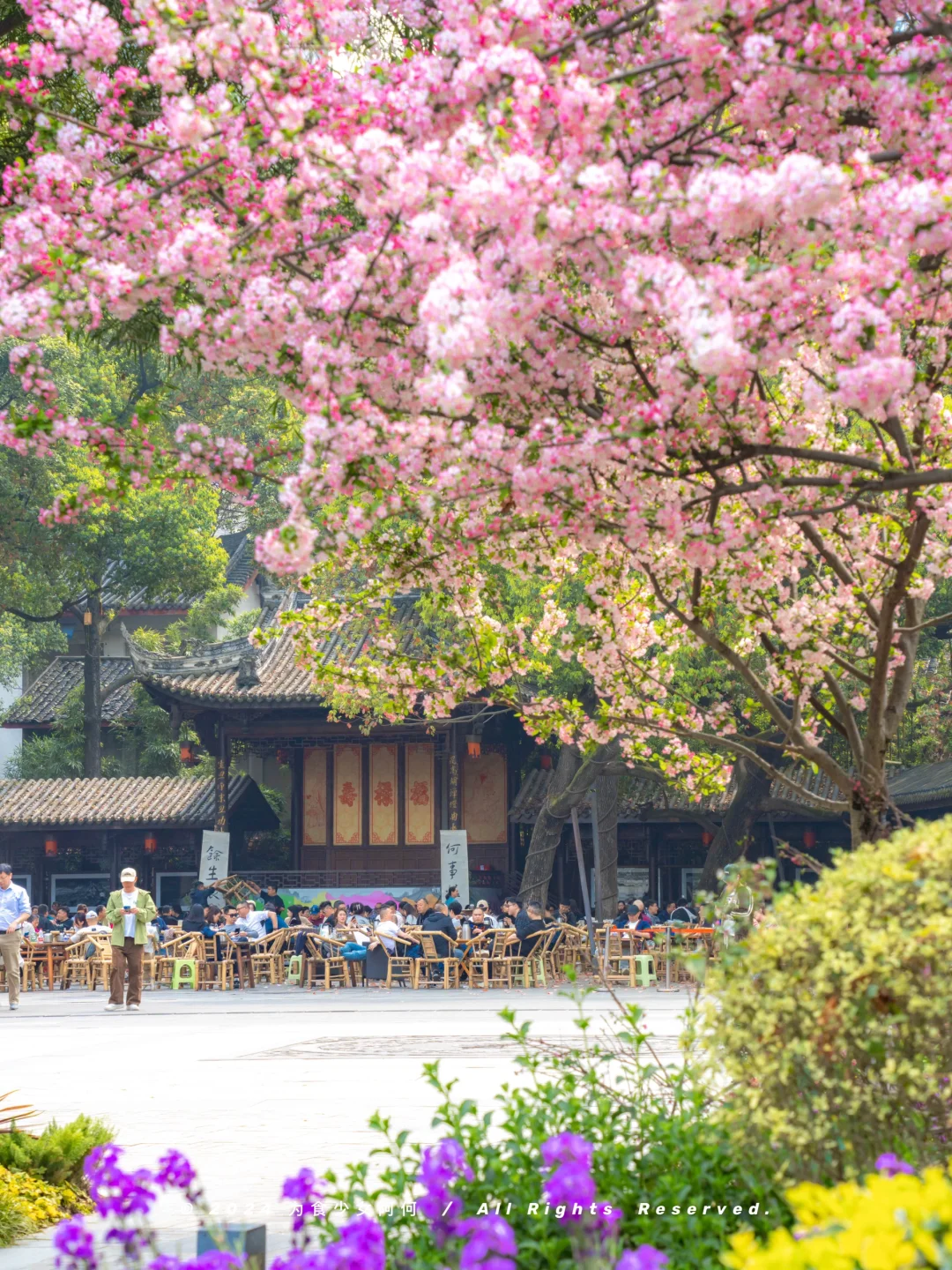 成都！一个街口转角而已，至于美成这样吗😭