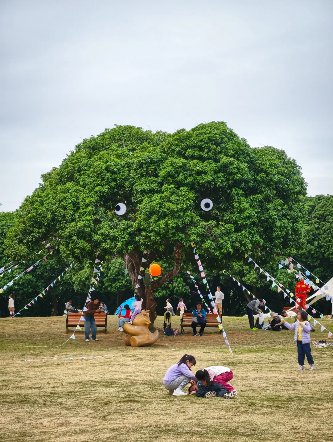 一棵像🐶的树，被萌到了❗️