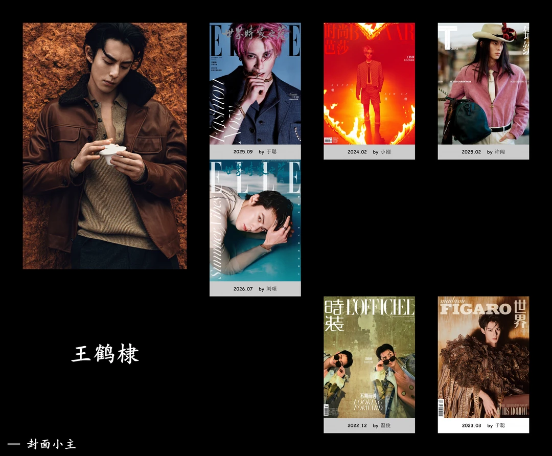 王鹤棣主流女刊合集