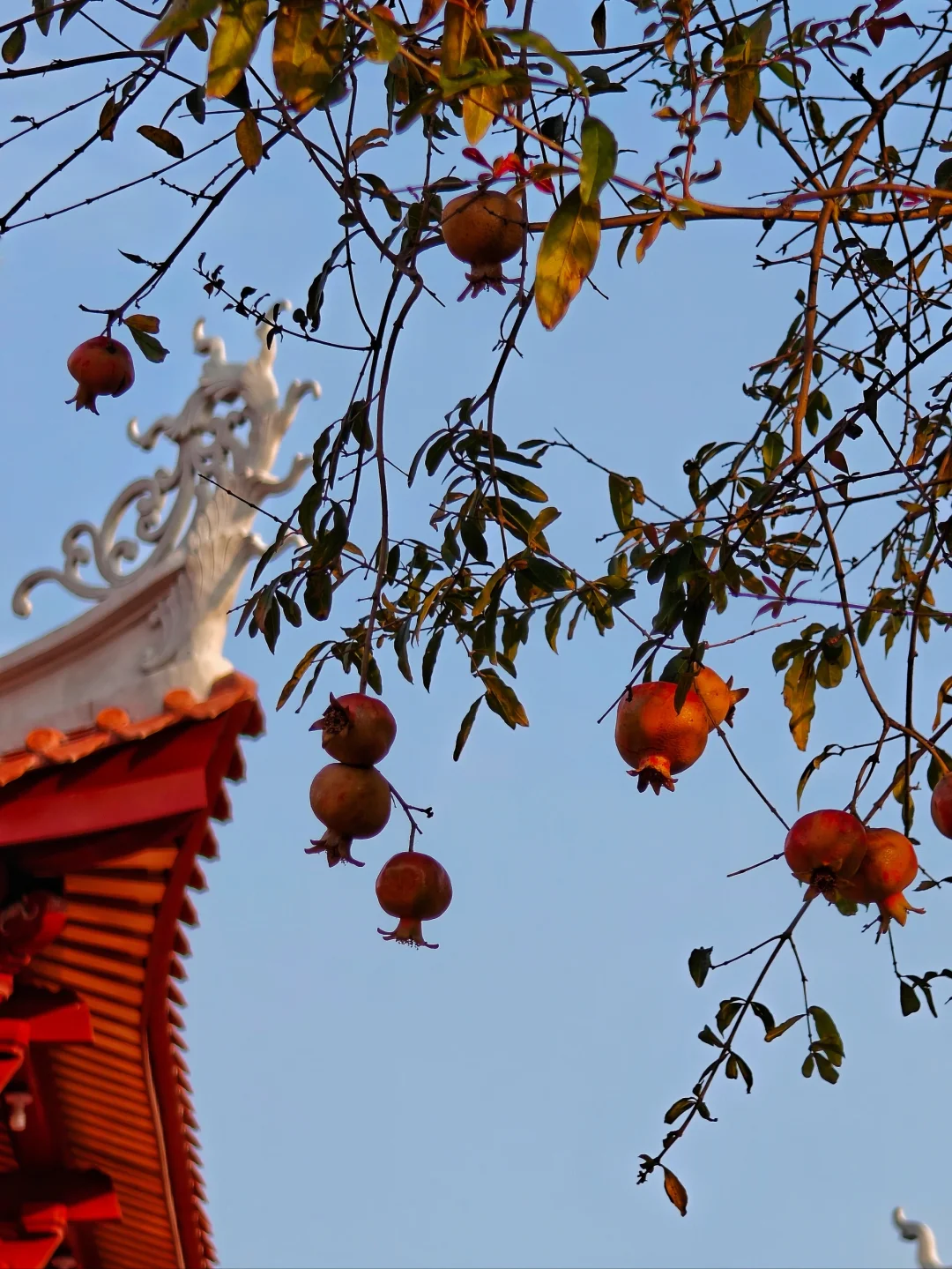 整个泉州我蕞爱的一处……