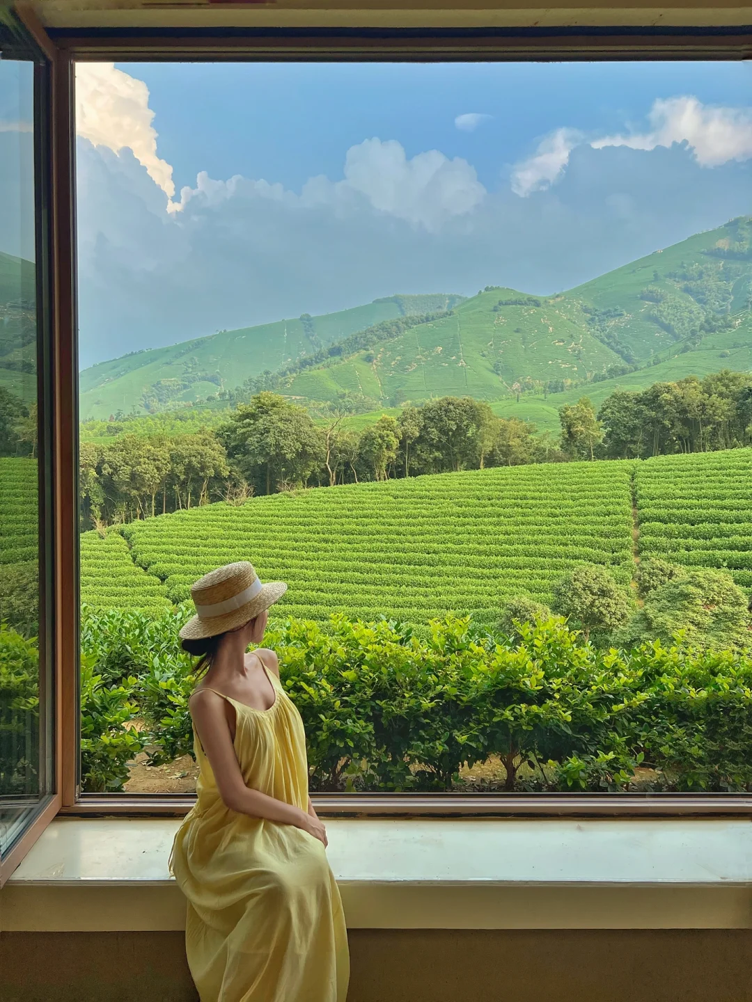 10月旅行丨安吉白茶园这扇窗，美的像画一样