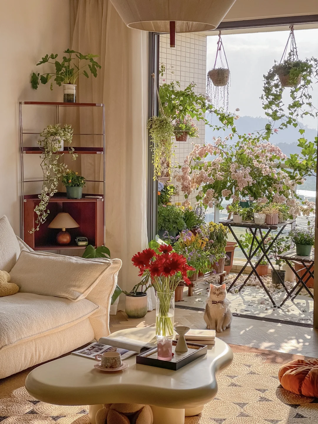 被这阳台的花花治愈了🌸