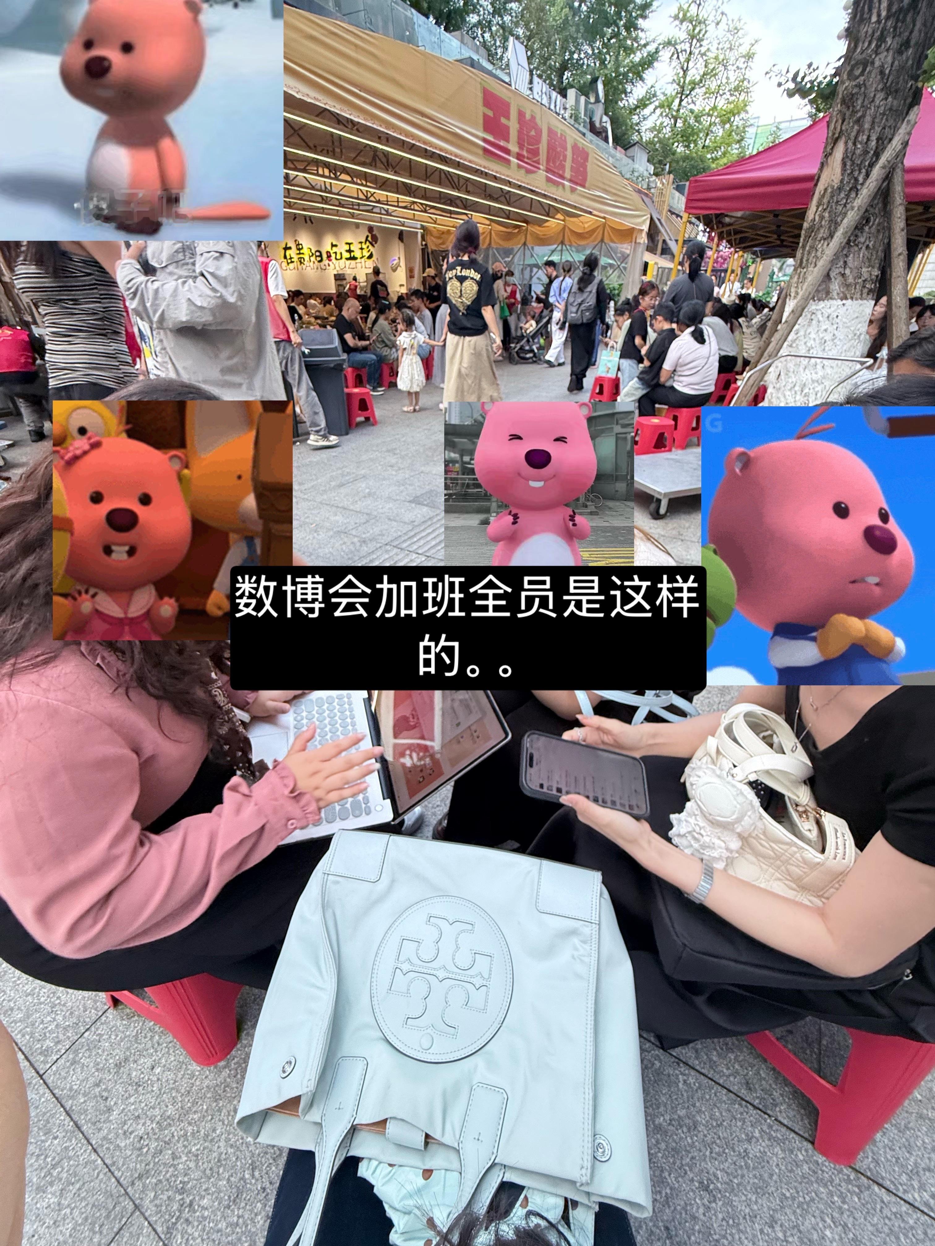 每天高精力和低精力无限切换 ​