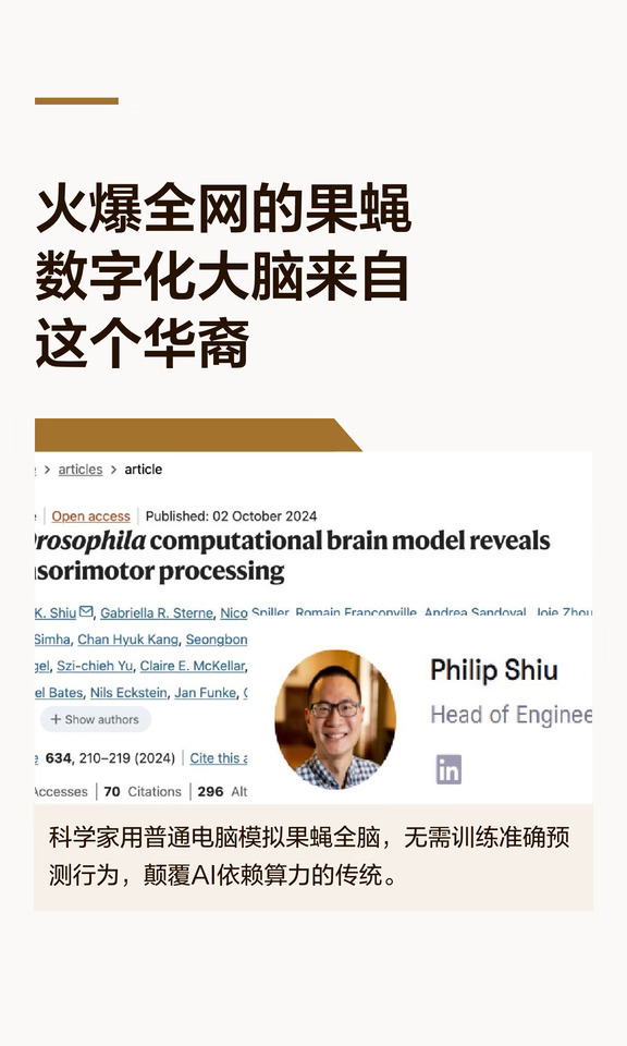 火爆全网的果蝇数字化大脑来自这个华裔