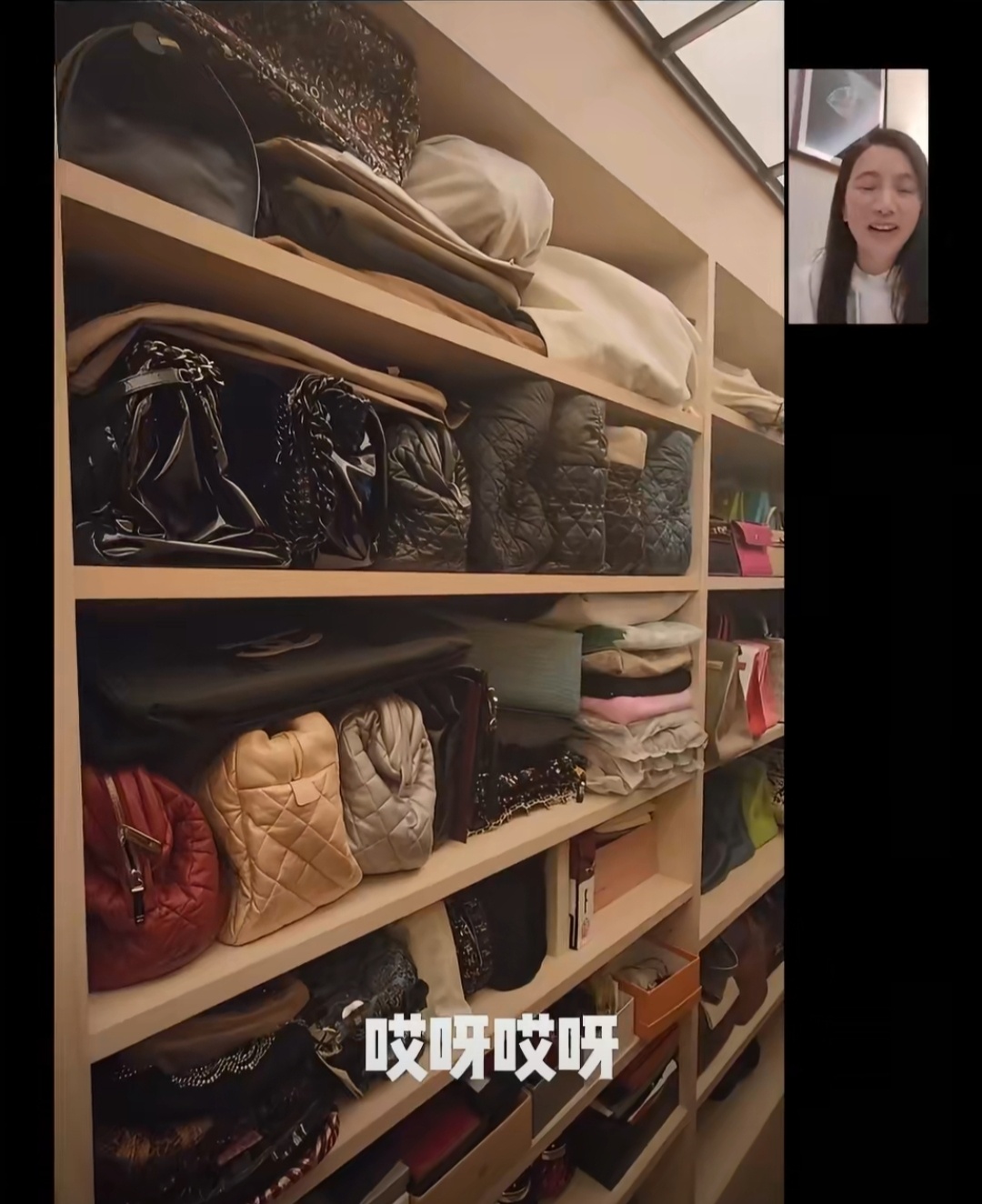 向太陈岚在与袁咏仪视频通话时，展示了家中整墙的爱马仕包柜，连见惯大场面的袁咏仪都看得双眼放光，甚至被传当场获赠了包包。   一、满墙豪包堪比博物馆- 稀有皮种云集：向太的包柜中，喜马拉雅铂金包、各色鳄