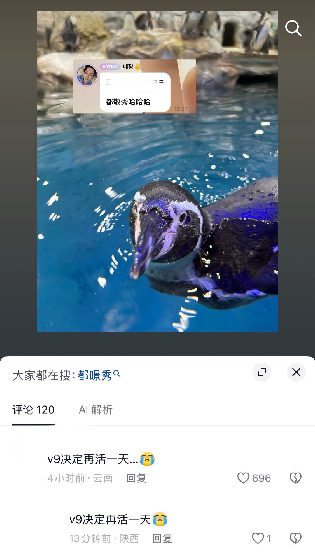 嗯，v9再活一天[淡淡的] ​