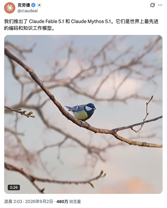 Fable 5.1正式发布