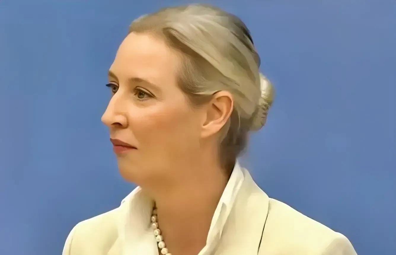 德国选择党联合主席爱丽丝·魏德尔在联邦议院预算辩论中表示，德国实际上已经破产、没钱了，正直接走向国家破产。

这里的“破产”首先是魏德尔对德国财政状况和政府支出排序的政治判断，并不等同于联邦政府已经发布了国家破产公告。

她还把法国说成进入“拖延破产”阶段，追问欧盟这一笔账，最后到底由谁来买单。