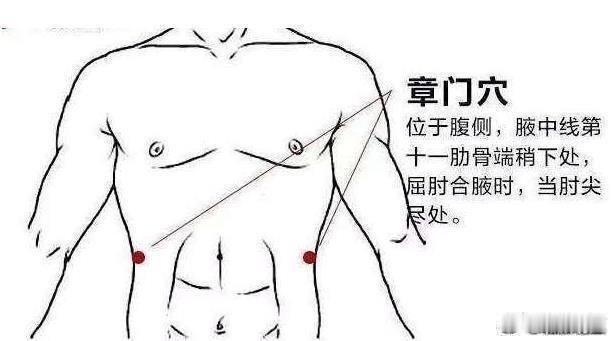 10月23日北派实时，北派古法长生图，强通八万四千气脉，中医穴位流注，返老还童，长寿过百岁。明日，丙午马年九月十五，章门穴，午时，吉。明天午时，大家艾灸章门穴，28分钟，可复原附近一条小气脉。这条小气脉，北派长生图称“孓髎脉”，北派异人称阴水之脉，通腹部气脉，影响十二指肠气脉循环，比头发稍细，在人出生后三十岁左右断掉，人体开始有肠道疾病，盗汗，衰老。章门，出入门户是也，章门穴是道家修炼大周天的重穴，直接影响五脏气血盈亏。V店坛火反馈章门穴有湿气，或撞阴煞（V店坛火术语），如路口撞阴，章门穴进污秽，快速逼近神阙穴等，十九天左右发病，要立刻治疗。