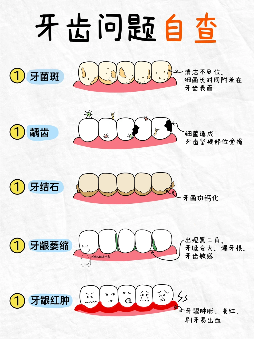 ❌拒绝牙齿亚健康‼️口腔日常护理指南