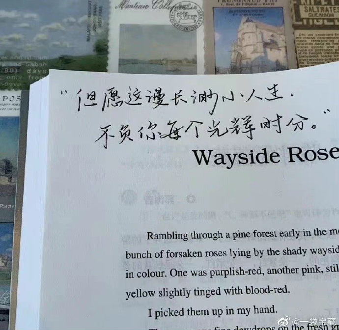 千万别相信“人”，要相信“人性”，50个人性真相，值得慢慢品

如今的世界，只有三样东西是靠得住的：

1、生你的人和你生的人；

2、钱；

3、赚钱的能力；

其它的一切都靠不住。

——水木然

1、人性中有光辉的一面，也有阴暗的一面，没有永远的忠诚，不背叛，是因为背叛的代价太大，一旦诱惑到一 ​