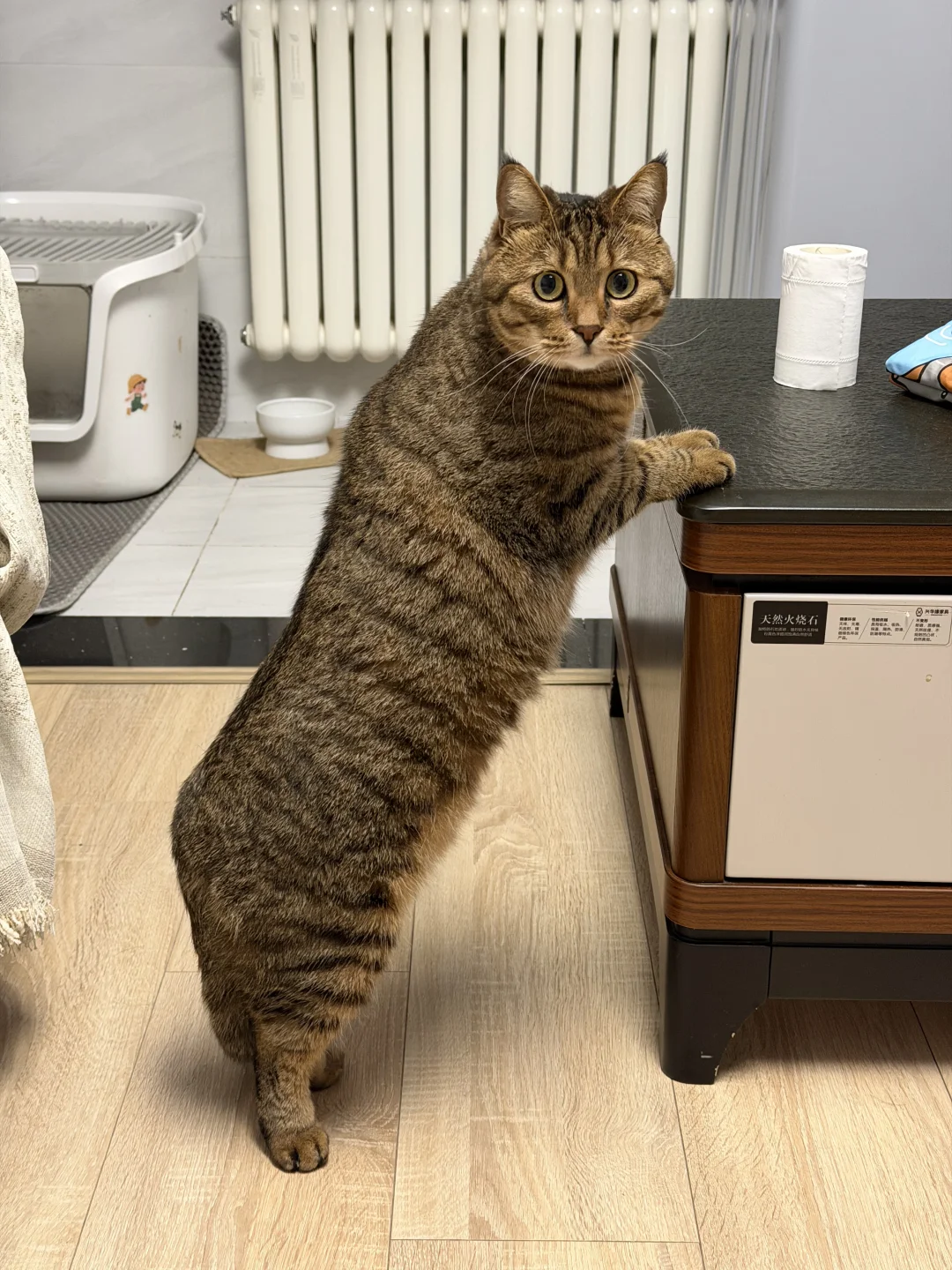 仙品