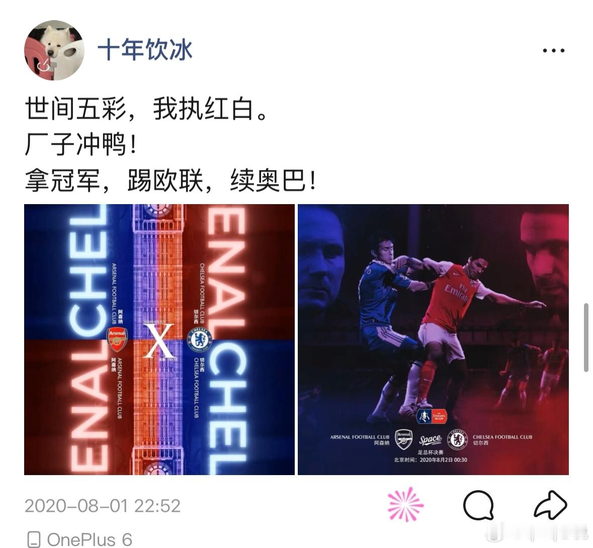 我们阿森纳是冠军!22年的等待，终于等到了久违的英超冠军。看球也十年了...