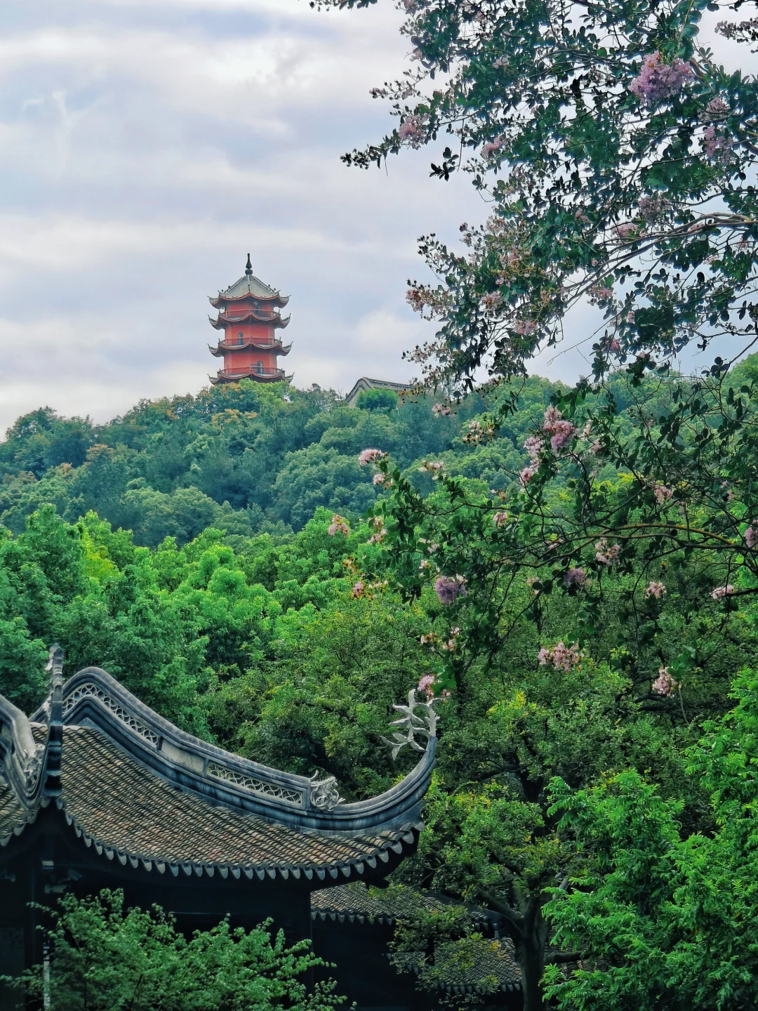 周末逃离上海 | 江南第一山&世界蕞大祠堂群