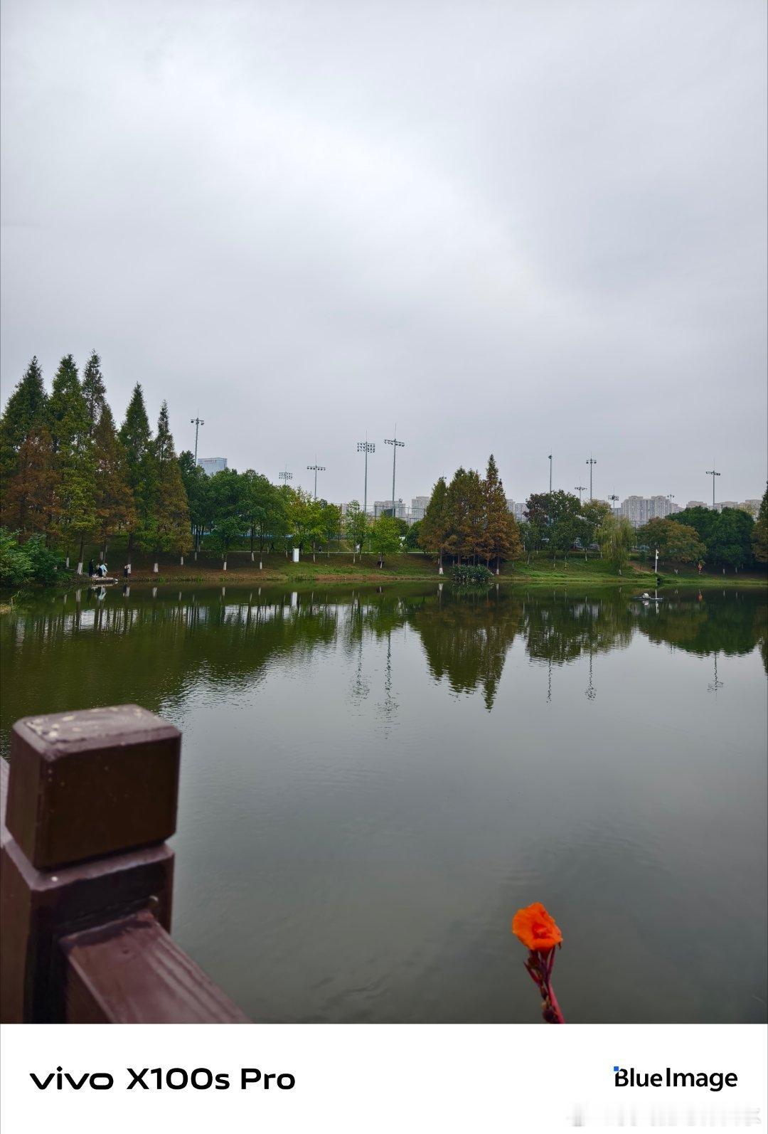 #vivo[超话]# 阳台上的茉莉花叶子绿油油的，晚上开花的时候香味飘进屋里，连做梦都是甜的，比买的香薰还好用，感觉整个房间都变温柔了。 ​