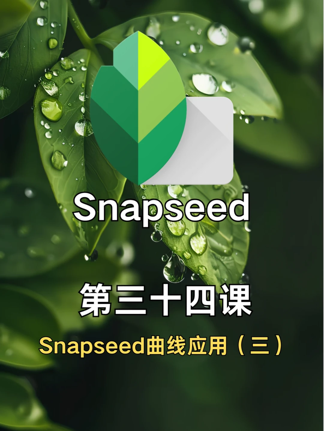 手机修图调色🎨Snapspeed曲线进阶应用三