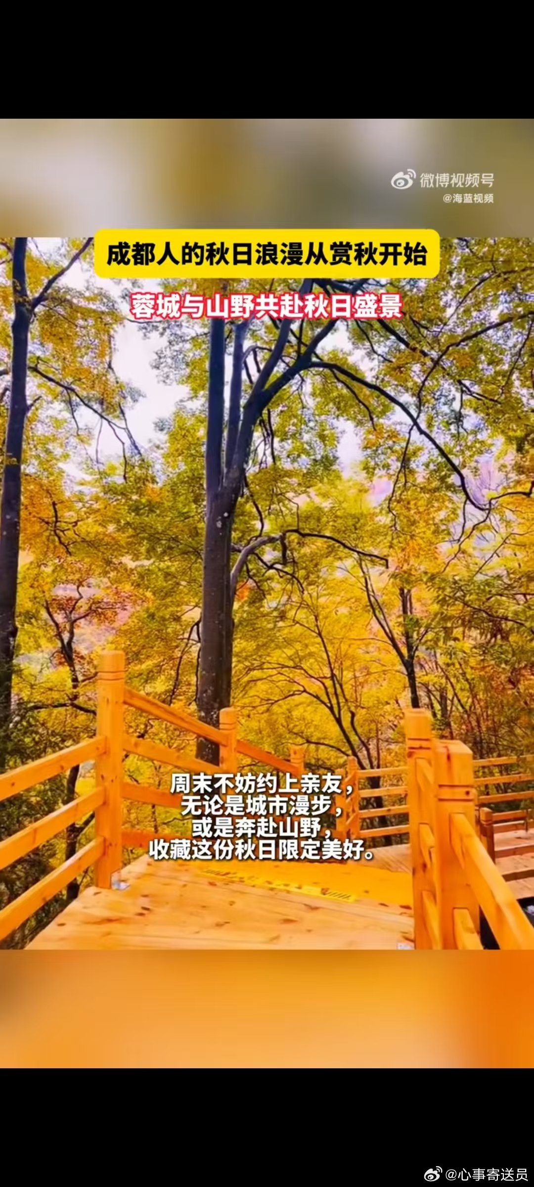 #成都人的秋日浪漫从赏秋开始# 秋风一吹蓉城就进入赏秋模式 桂香银杏粉黛水杉轮番登场 秋天的仪式感这不就来了 ​