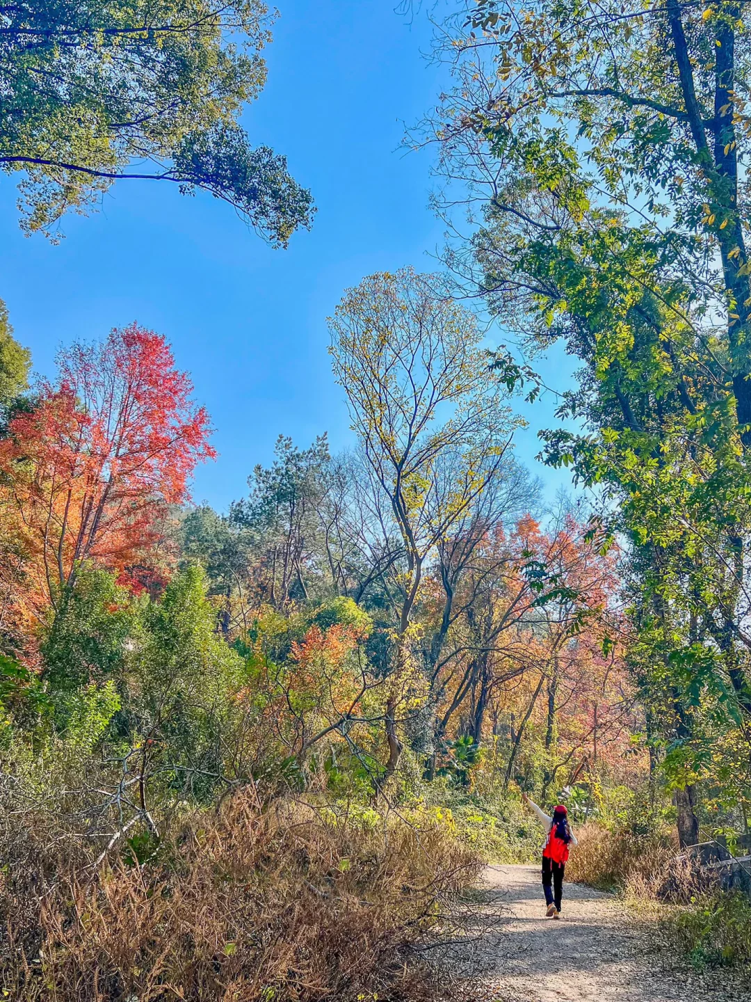 武汉1h，我找到了遗落的小喀纳斯！附徒步路线