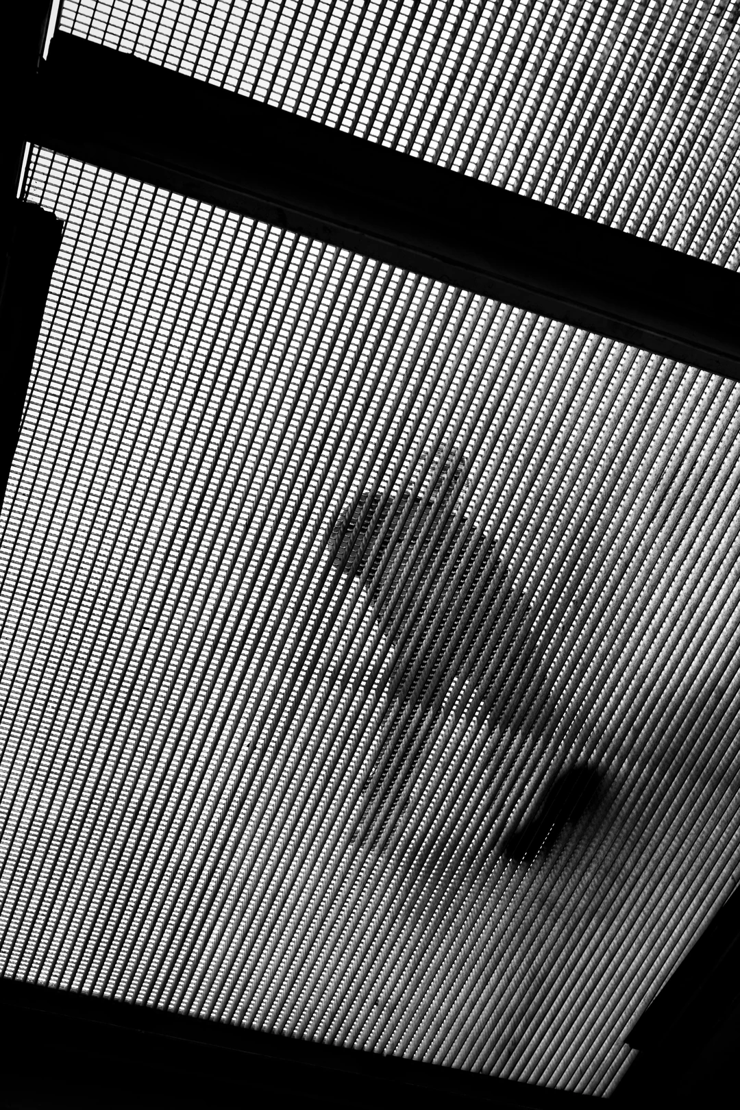 交换一张相册里的黑白照片～