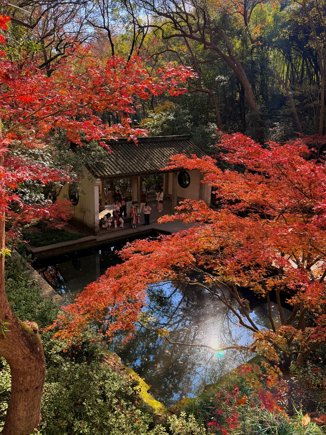 接下来的杭州…堪称秋日旅行天花板！（附机位）