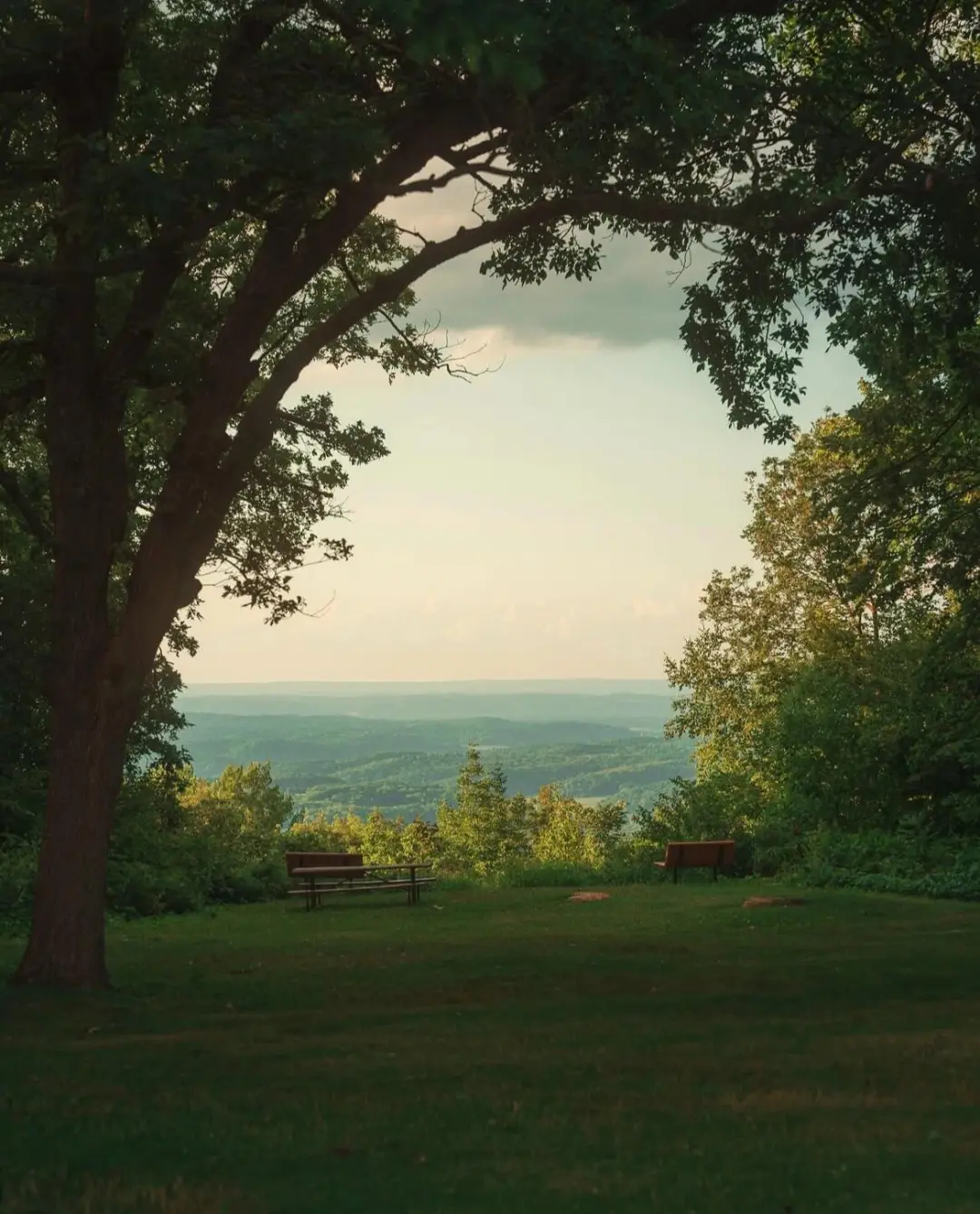 请大数据推给喜欢自然的人