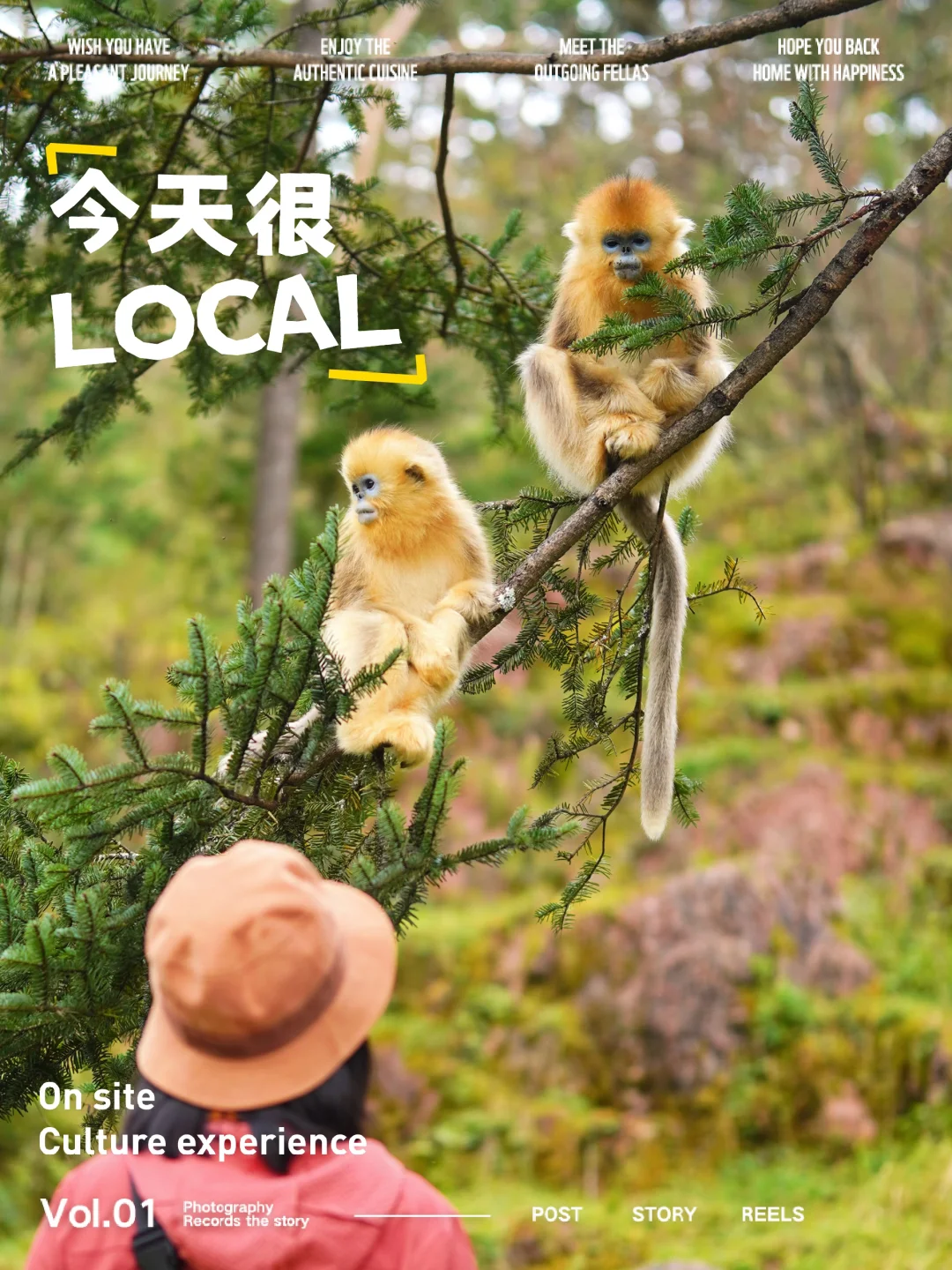 「国家公园计划」第1️⃣站：神农架初秋之旅