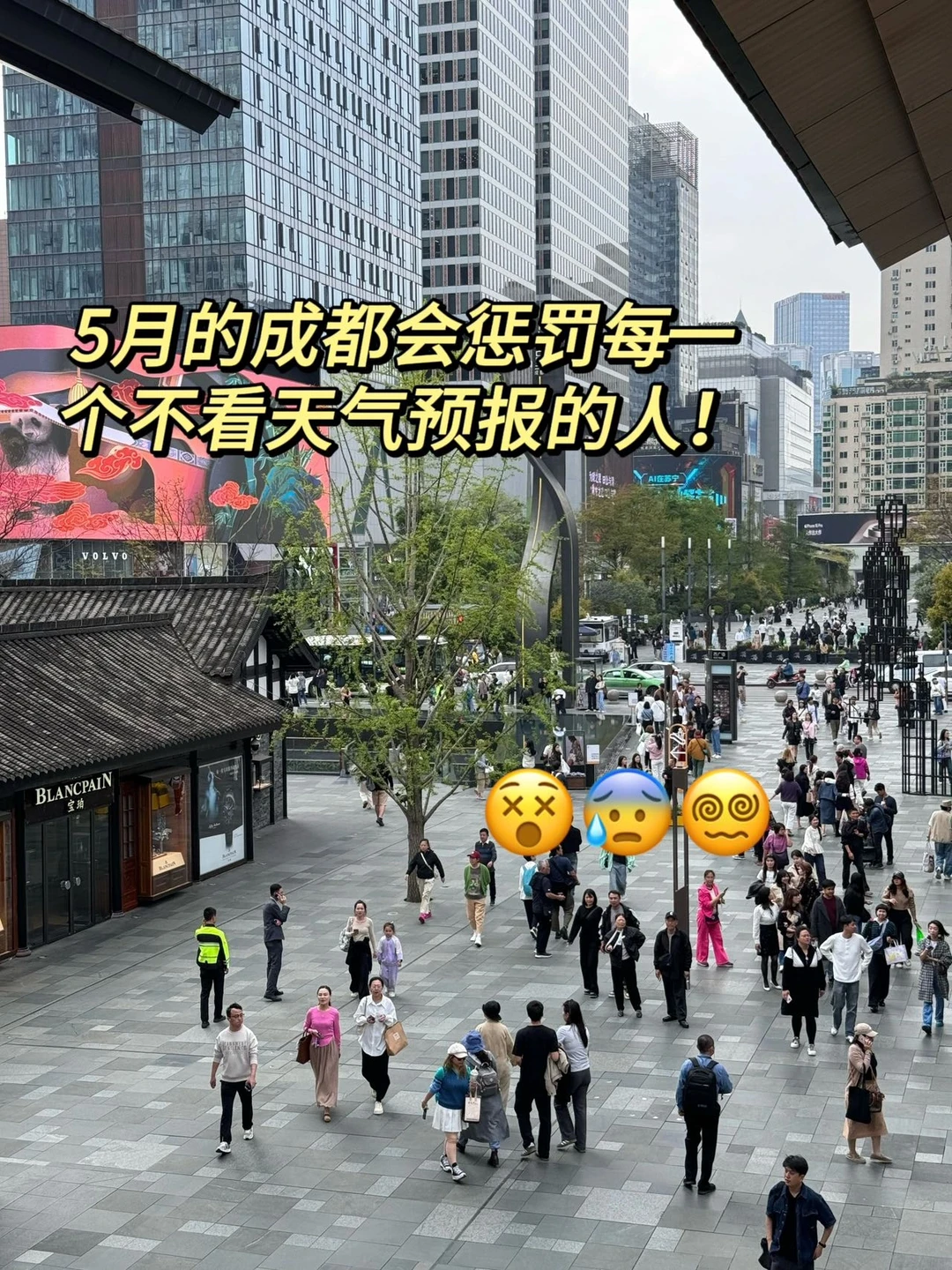 📍本地人熬夜做的五一成都旅游攻略｜速码！