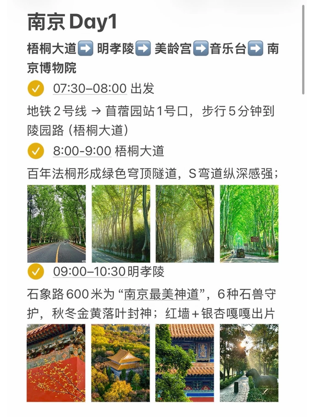 本J人做的南京攻略已经是next level了…