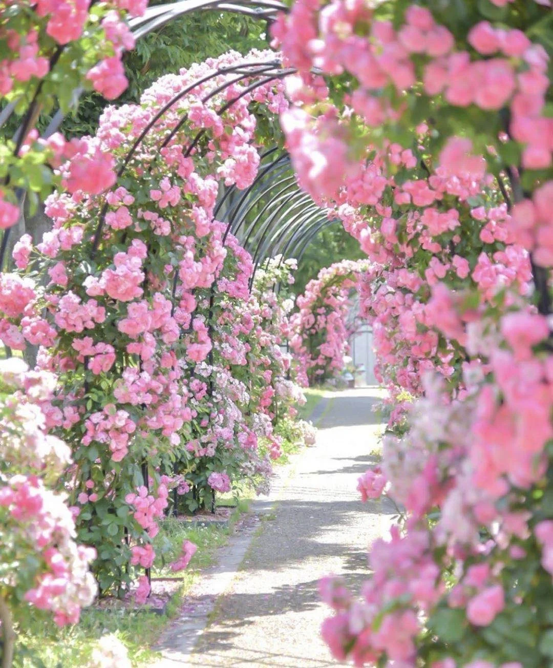 日本京都府|美是需要发现的需要用心感受的