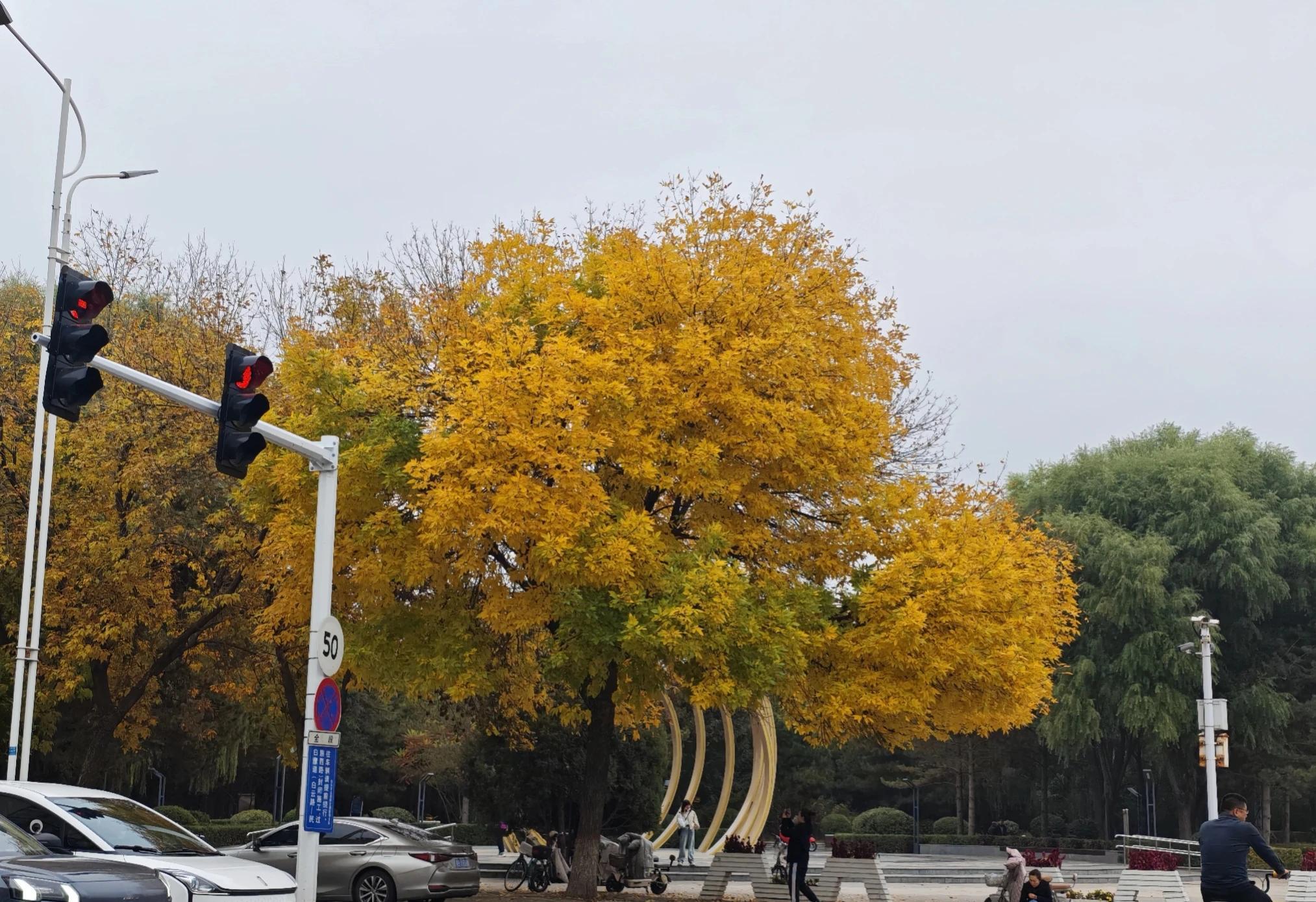 什么叫人情世故：  1、饭局上，领导说：“加个微信”！老实人说：“我扫...