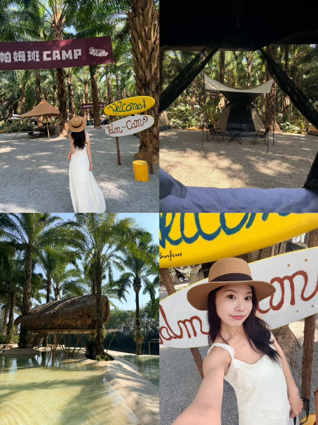 一眼沦陷！版纳帕姆班CAMP🌴