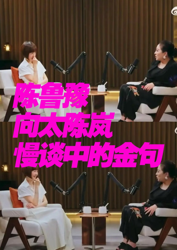 陈鲁豫，向太陈岚和慢谈中的金句