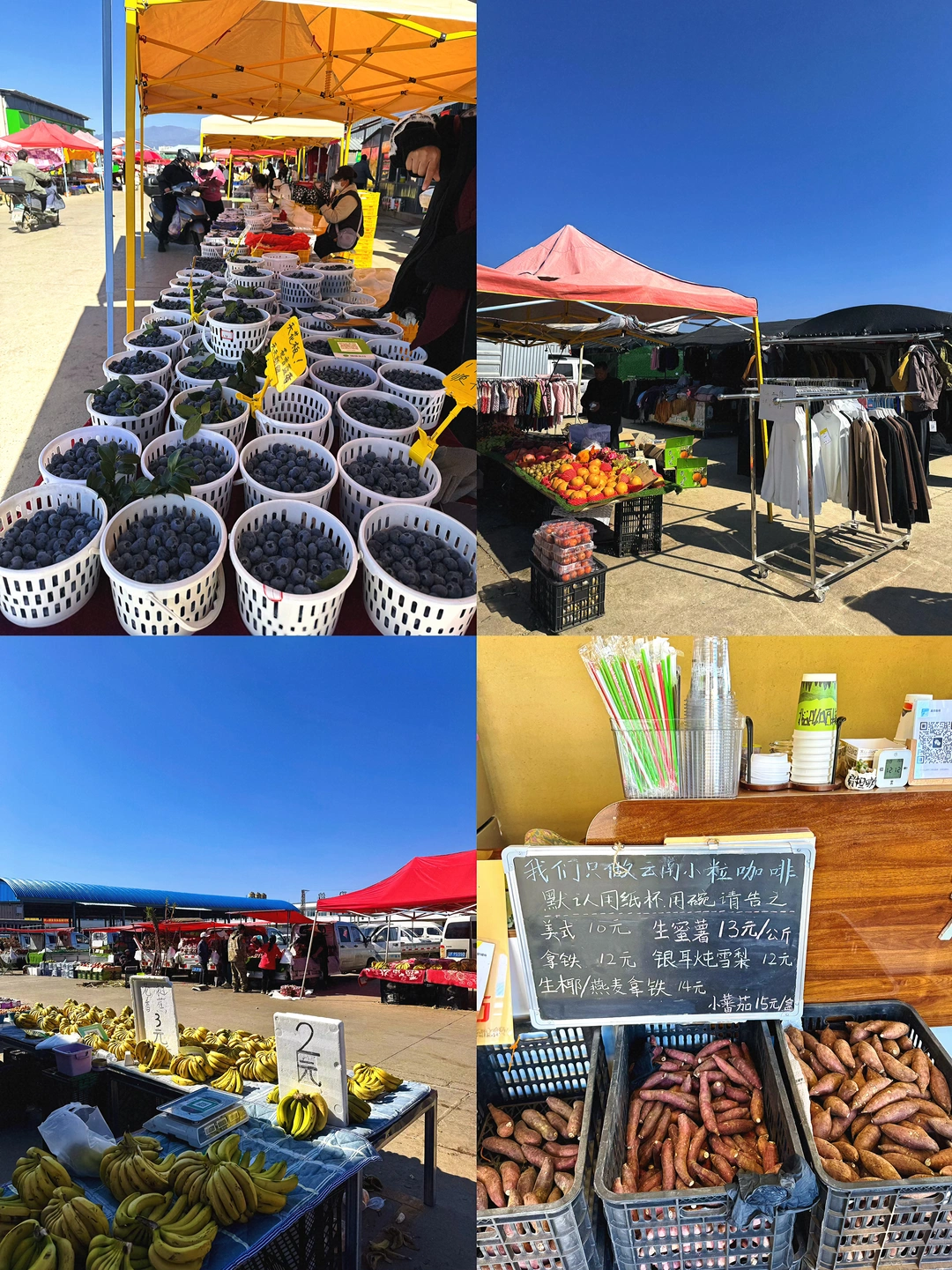 我猜华晨宇也会去的澄江农贸市场🥹火星人冲