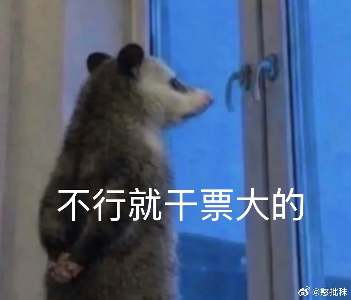 要闷声干大事了 ​