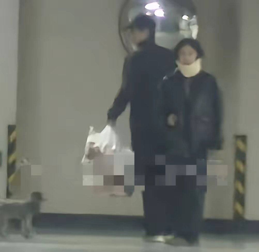邢昭林卢洋洋这事，我核了下时间线，沉默比官宣还硬
​都说“默认了”，凭什么？按被拍原始材料核一遍：
​一核起点：2023年底《我的差评女友》结缘，片场亲密、私下聚餐，绯闻有土壤。
二核实锤：2024年4月同游泰国、机场同回、深夜同返；2025年7月医院同行；2026年10月丢垃圾同回住处，生活化画面一 ​